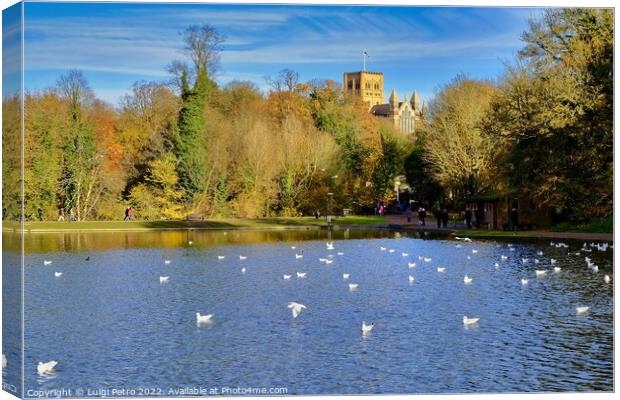 Verulanium Park in St Albans, UK. Canvas Print by Luigi Petro