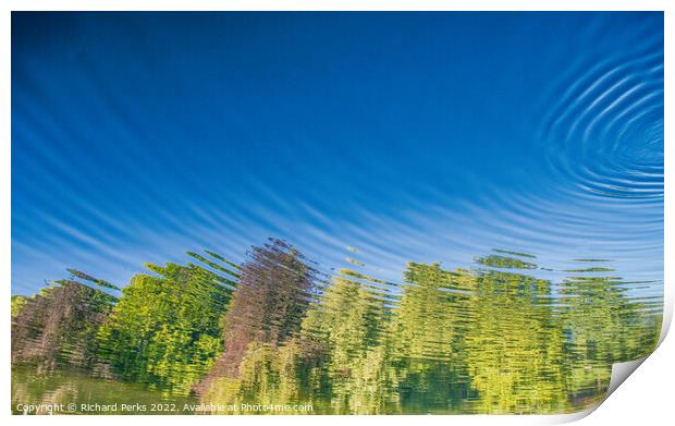 Tree reflections in the lake ripples Print by Richard Perks