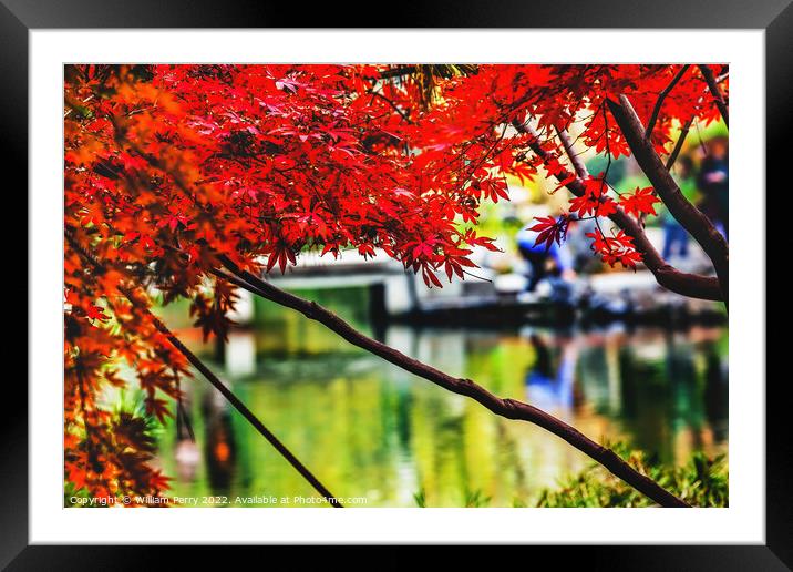 Orange Red Maple Leaves Bridge West Lake Hangzhou Zhejiang China Framed Mounted Print by William Perry