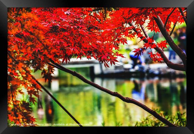 Orange Red Maple Leaves Bridge West Lake Hangzhou Zhejiang China Framed Print by William Perry