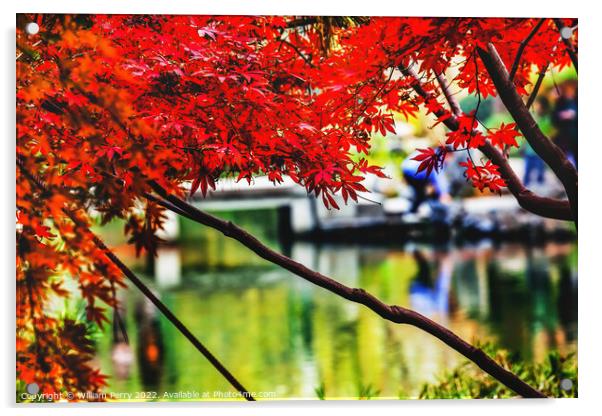 Orange Red Maple Leaves Bridge West Lake Hangzhou Zhejiang China Acrylic by William Perry
