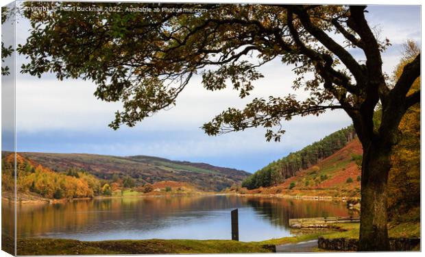 Llyn Geirionydd Lake in Autumn Snowdonia Canvas Print by Pearl Bucknall