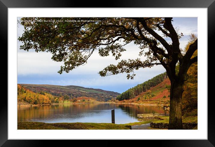 Llyn Geirionydd Lake in Autumn Snowdonia Framed Mounted Print by Pearl Bucknall