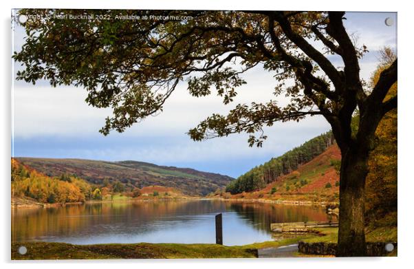 Llyn Geirionydd Lake in Autumn Snowdonia Acrylic by Pearl Bucknall
