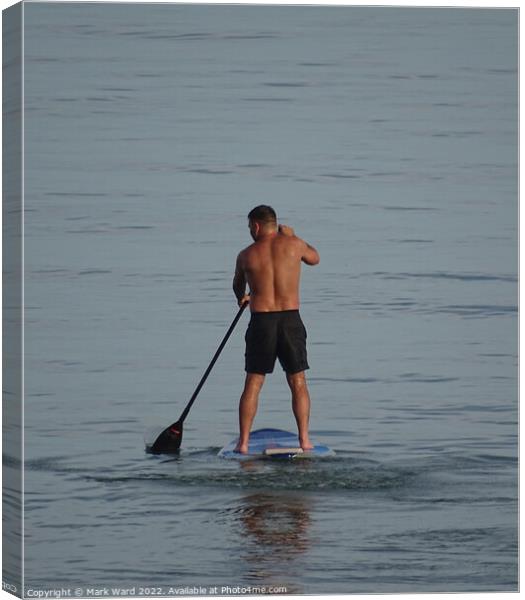 Bexhill Balance. Canvas Print by Mark Ward