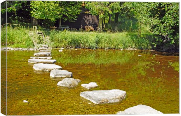 Stepping stones on River Ribble, Lancashire. Canvas Print by David Birchall