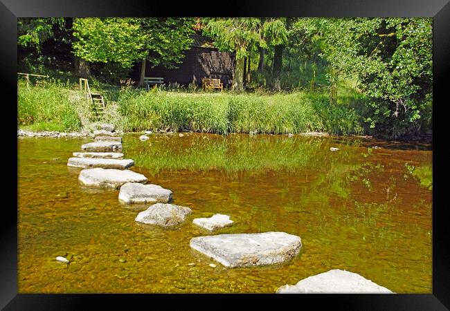 Stepping stones on River Ribble, Lancashire. Framed Print by David Birchall