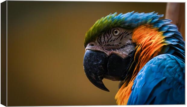 Close up headshot of the blue-and-yellow macaw, also known as the blue-and-gold macaw, is a large South American parrot, scientific name Ara ararauna Canvas Print by Arpan Bhatia