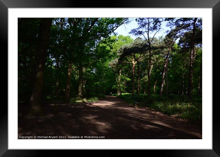 highwoods country park Framed Mounted Print by Michael bryant Tiptopimage