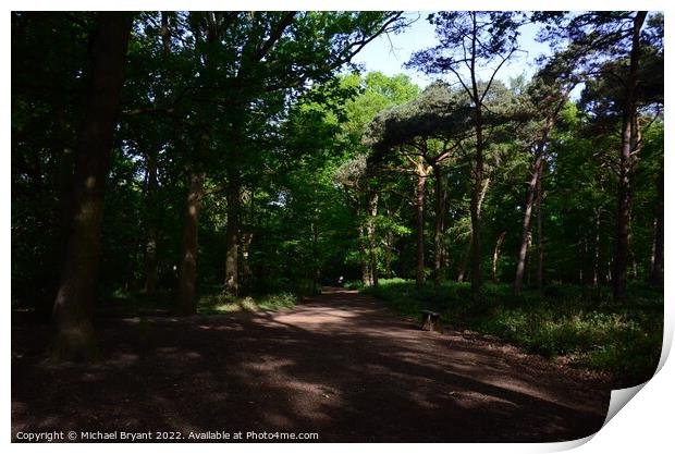 highwoods country park Print by Michael bryant Tiptopimage