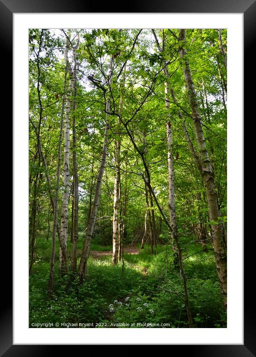 ,highwoods country park colchester Framed Mounted Print by Michael bryant Tiptopimage