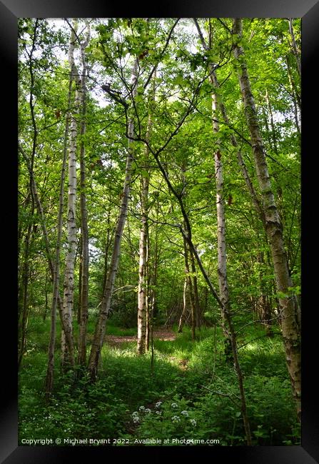 ,highwoods country park colchester Framed Print by Michael bryant Tiptopimage