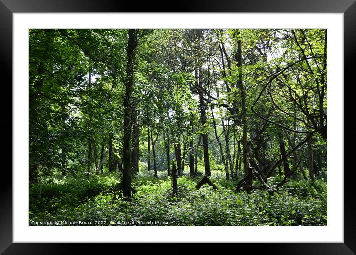 highwoods country park colchester Framed Mounted Print by Michael bryant Tiptopimage