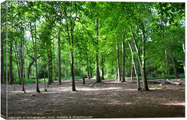 highwoods country park colchester Canvas Print by Michael bryant Tiptopimage