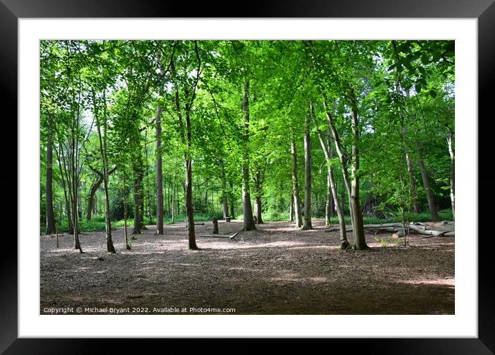 highwoods country park colchester Framed Mounted Print by Michael bryant Tiptopimage