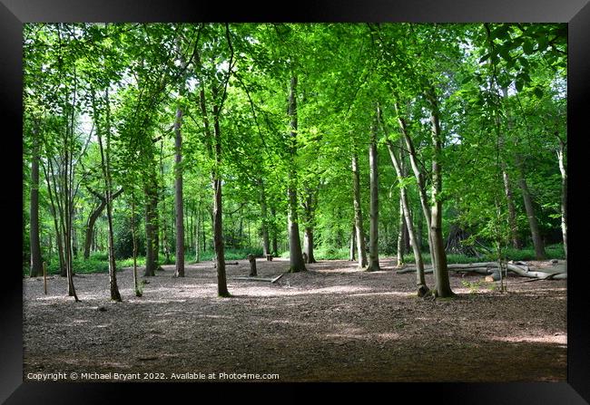 highwoods country park colchester Framed Print by Michael bryant Tiptopimage