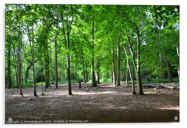 highwoods country park colchester Acrylic by Michael bryant Tiptopimage