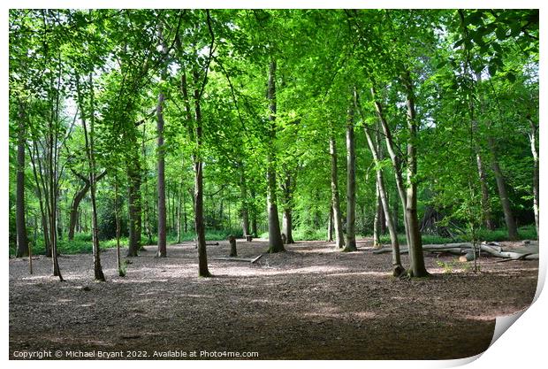 highwoods country park colchester Print by Michael bryant Tiptopimage