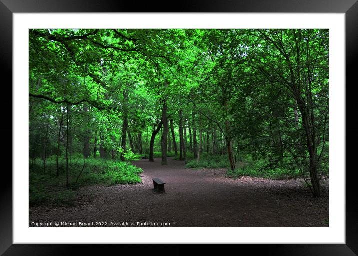 Magic of Highwoods Woodland Walk Framed Mounted Print by Michael bryant Tiptopimage
