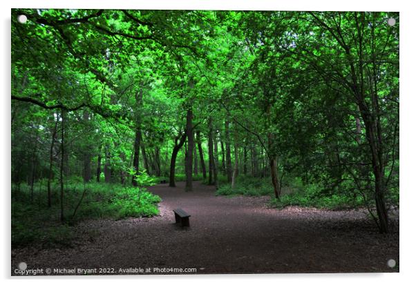 Magic of Highwoods Woodland Walk Acrylic by Michael bryant Tiptopimage