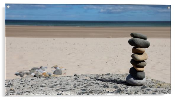 Rocks on the beach Acrylic by Sandra Day