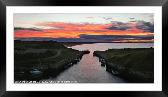 Seaton Sluice sunset  Framed Mounted Print by Sandra Day