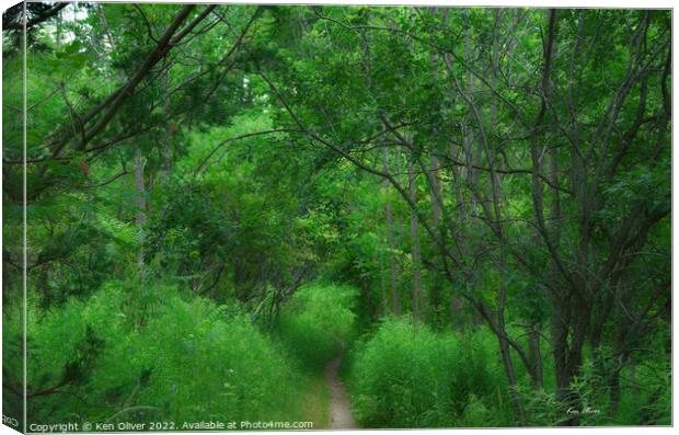 Enchanting Path through Verdant Forest Canvas Print by Ken Oliver