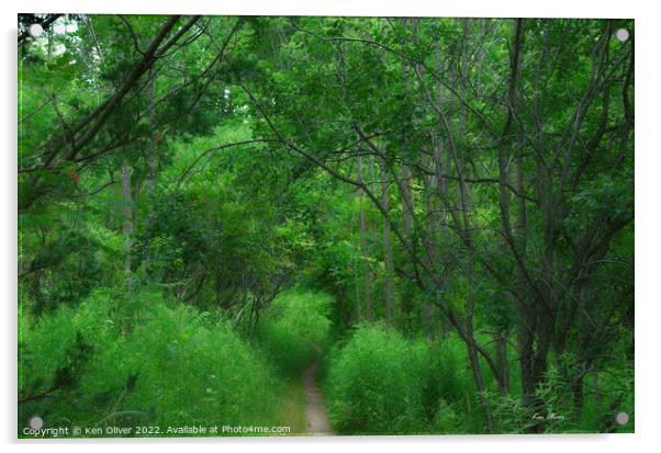 Enchanting Path through Verdant Forest Acrylic by Ken Oliver