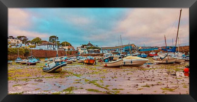 Paignton harbour  Framed Print by Ian Stone