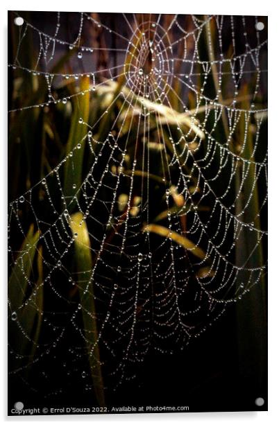 SPIDER WEB Acrylic by Errol D'Souza