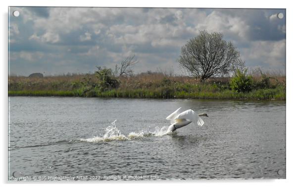 Flapping to Take off Acrylic by GJS Photography Artist