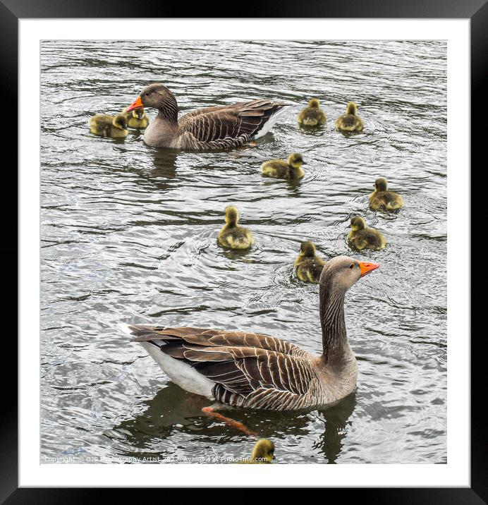 Parents Protect Framed Mounted Print by GJS Photography Artist