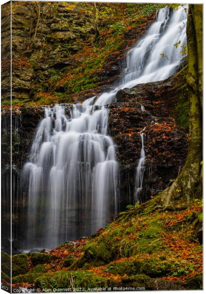 Fall into the fall Canvas Print by Alan Dunnett