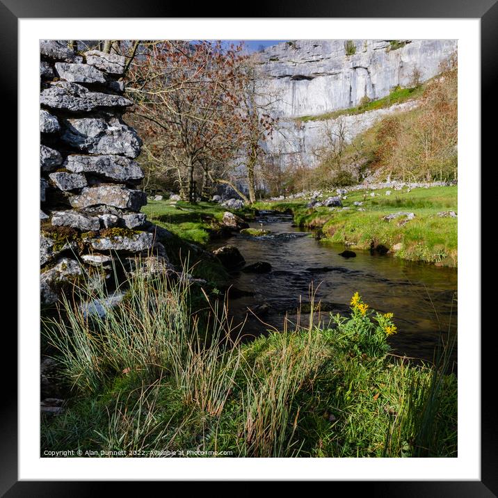 Plant tree Framed Mounted Print by Alan Dunnett