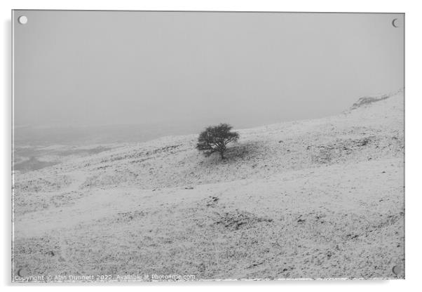 Lone tree on a snowly field Acrylic by Alan Dunnett