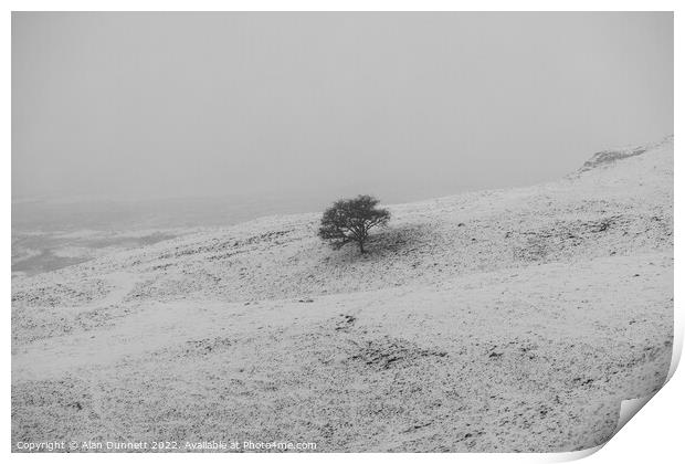 Lone tree on a snowly field Print by Alan Dunnett
