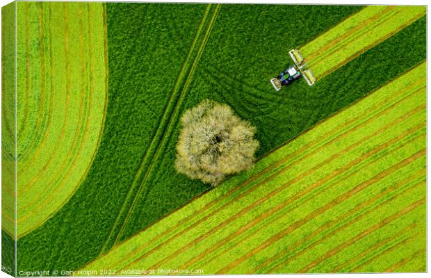 Farm mowing from the air Canvas Print by Gary Holpin