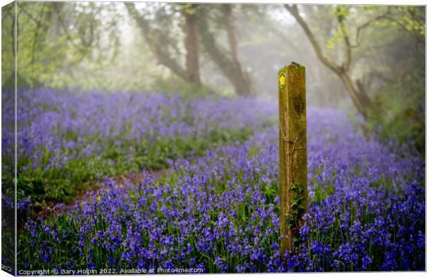 A walk through the misty bluebell woods Canvas Print by Gary Holpin