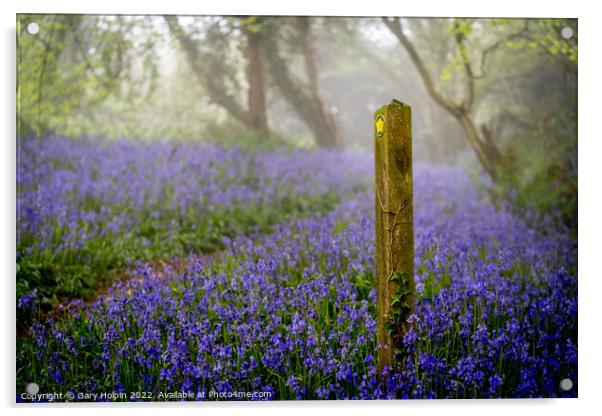 A walk through the misty bluebell woods Acrylic by Gary Holpin