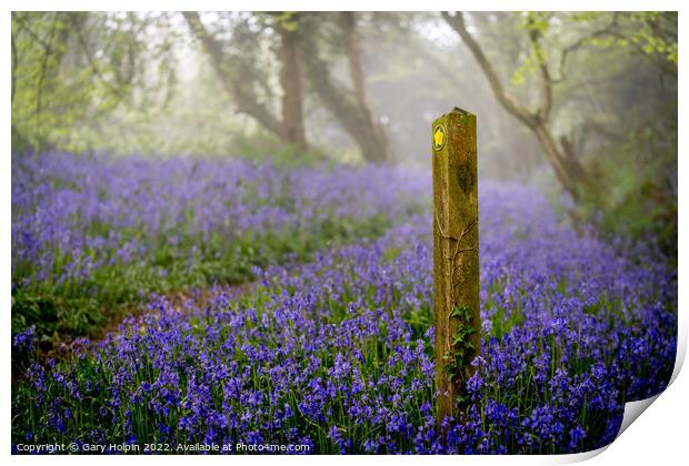 A walk through the misty bluebell woods Print by Gary Holpin