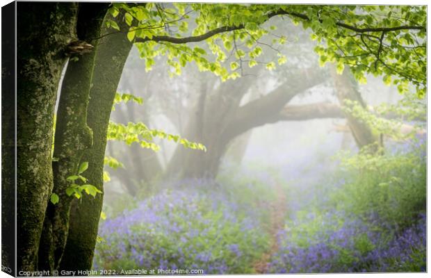 Path through the misty bluebell wood Canvas Print by Gary Holpin