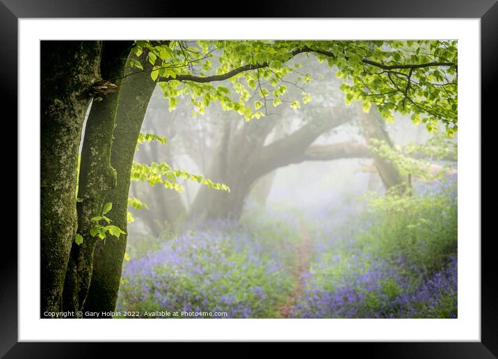 Path through the misty bluebell wood Framed Mounted Print by Gary Holpin