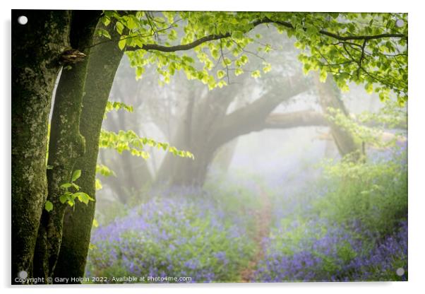 Path through the misty bluebell wood Acrylic by Gary Holpin