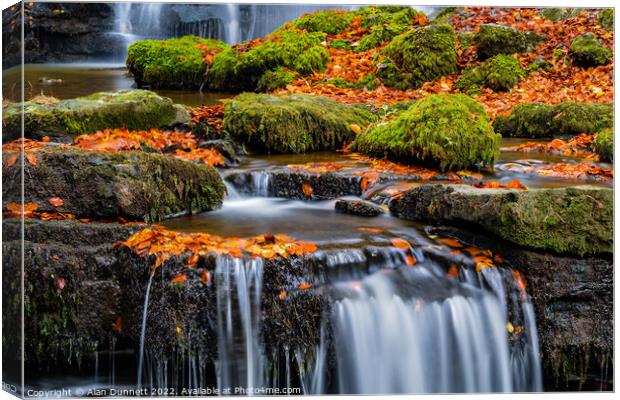 Moss on the rocks Canvas Print by Alan Dunnett