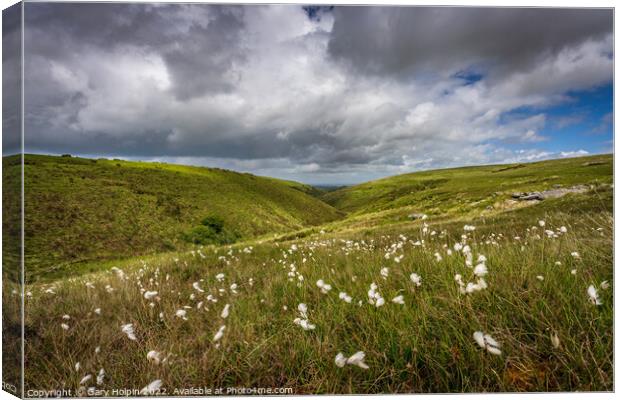 Storm clouds over the cotton grass fields Canvas Print by Gary Holpin