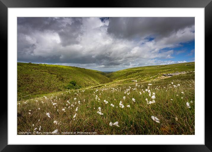Storm clouds over the cotton grass fields Framed Mounted Print by Gary Holpin