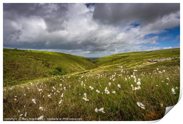 Storm clouds over the cotton grass fields Print by Gary Holpin