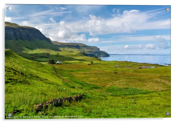 Balmeanach View in Summer Isle of Mull Scotland Acrylic by Barbara Jones