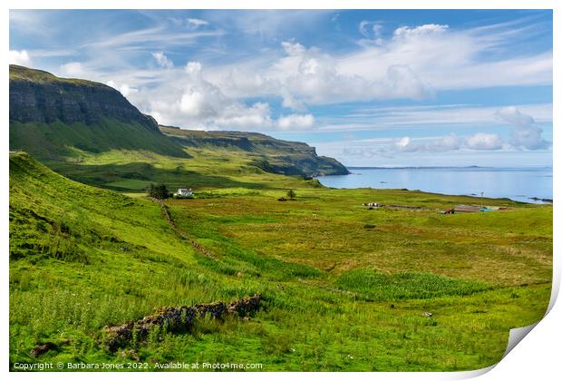Balmeanach View in Summer Isle of Mull Scotland Print by Barbara Jones