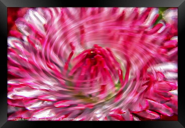 Abstract blurred close-up of a flower. Framed Print by Luigi Petro